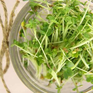 Салатный микс семян для проращивания Нежность